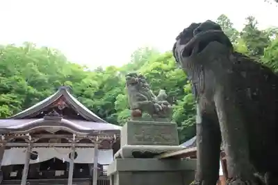 戸隠神社中社(長野県)