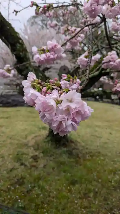 醍醐寺(京都府)