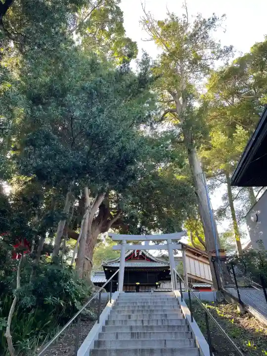 玉前神社(千葉県)