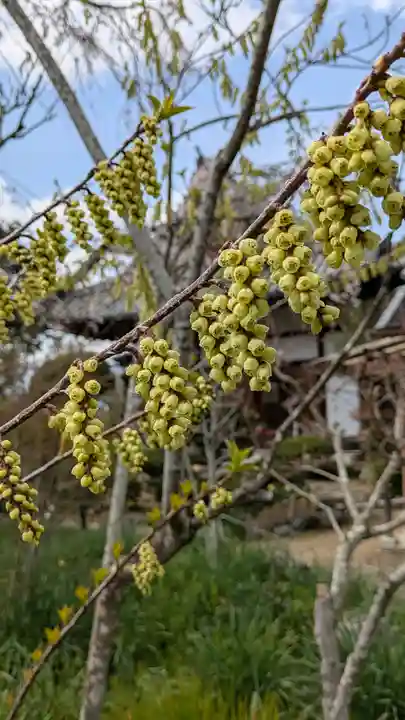 惠心院(京都府)