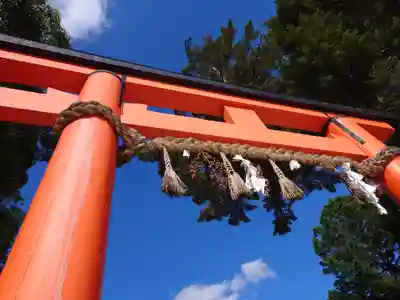 賀茂別雷神社(上賀茂神社)の鳥居