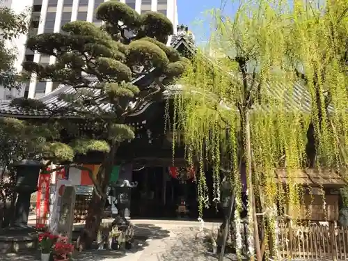 頂法寺（六角堂）(京都府)