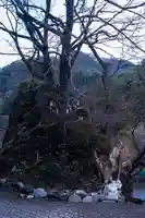 上町正八幡宮(長野県)