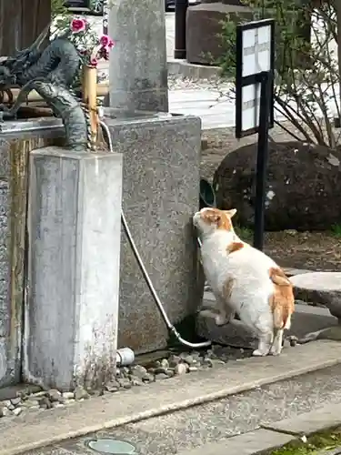 今市報徳二宮神社(栃木県)