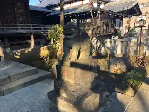 白山神社の狛犬