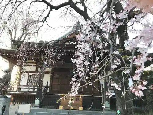 金蔵院の本殿・本堂