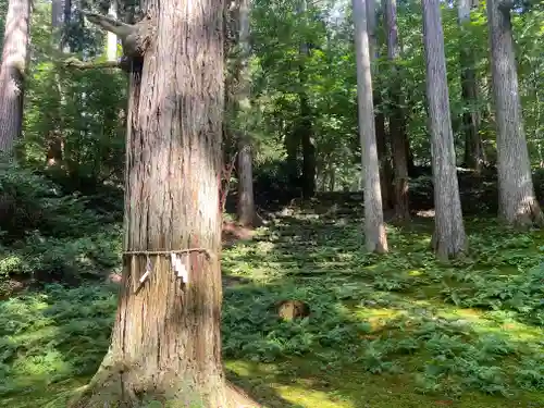 平泉寺白山神社(福井県)