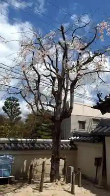 西福寺(広島県)