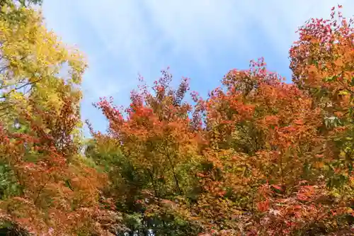 滑川神社 - 仕事と子どもの守り神の自然