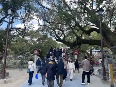 太宰府天満宮の{uncategorized: "未分類", other: "その他", undefined: "問題あり", building: "その他建物", grave: "お墓", sacred_gate: "鳥居", guardian: "狛犬", statue: "像", buddha: "仏像", history: "歴史", nature: "自然", garden: "庭園", animal: "動物", pagoda: "塔", temizu: "手水舎", mountain_gate: "山門・神門", sanctuary: "本殿・本堂", subordinate: "末社・摂社", art: "芸術", scenery: "景色", jizo: "地蔵", ema: "絵馬", goshuin: "御朱印", omikuji: "おみくじ", items: "授与品その他", amulet: "お守り", goshuincho: "御朱印帳", eats: "食事", festival: "お祭り", votive_dance: "神楽", shichigosan: "七五三参", wedding: "結婚式", experience: "体験その他", initially: "初詣", around: "周辺", anti_infection: "感染症対策"}