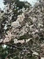 彌美神社(福井県)