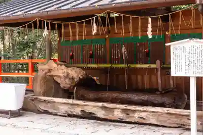 賀茂御祖神社（下鴨神社）(京都府)