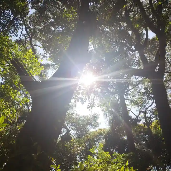 沼尾神社の自然