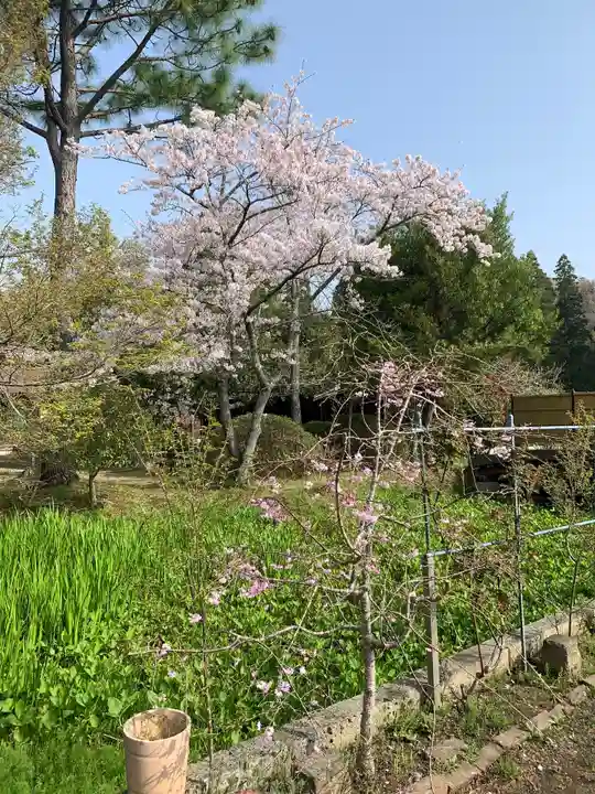 長福寿寺の自然