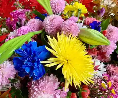 滑川神社 - 仕事と子どもの守り神の手水舎