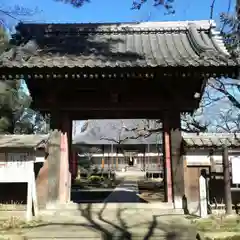 金乗院の山門