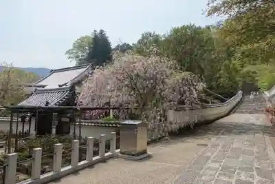 長谷寺のその他建物