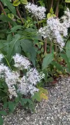 梨木神社(京都府)