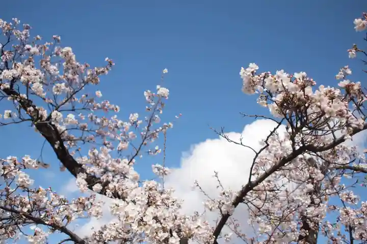 韮崎平和観音(山梨県)