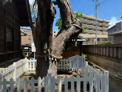 結城神明神社(千葉県)