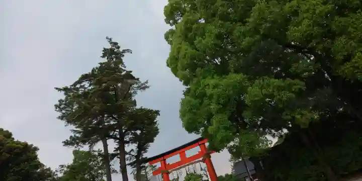 賀茂別雷神社(上賀茂神社)の鳥居