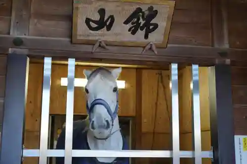 多度大社(三重県)