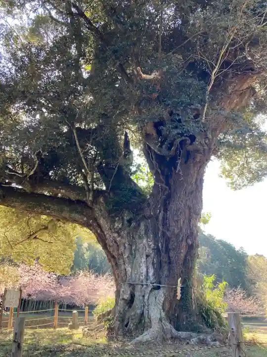 寂光寺(千葉県)