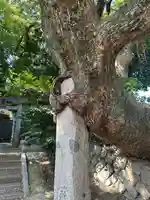 八剣神社(福岡県)
