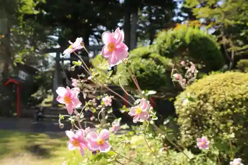 篠葉沢稲荷神社の庭園