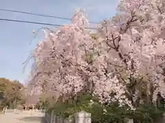 和泉國一之宮　大鳥大社(大阪府)