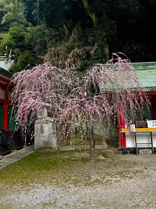 赤間神宮(山口県)