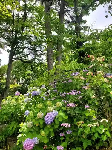 開成山大神宮(福島県)