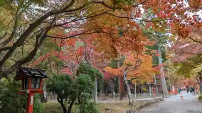 大原野神社(京都府)