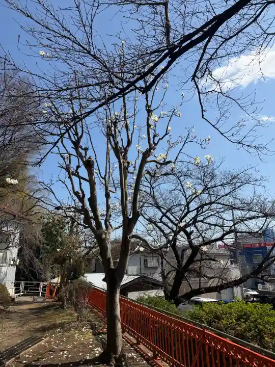 淡島社の{uncategorized: "未分類", other: "その他", undefined: "問題あり", building: "その他建物", grave: "お墓", sacred_gate: "鳥居", guardian: "狛犬", statue: "像", buddha: "仏像", history: "歴史", nature: "自然", garden: "庭園", animal: "動物", pagoda: "塔", temizu: "手水舎", mountain_gate: "山門・神門", sanctuary: "本殿・本堂", subordinate: "末社・摂社", art: "芸術", scenery: "景色", jizo: "地蔵", ema: "絵馬", goshuin: "御朱印", omikuji: "おみくじ", items: "授与品その他", amulet: "お守り", goshuincho: "御朱印帳", eats: "食事", festival: "お祭り", votive_dance: "神楽", shichigosan: "七五三参", wedding: "結婚式", experience: "体験その他", initially: "初詣", around: "周辺", anti_infection: "感染症対策"}