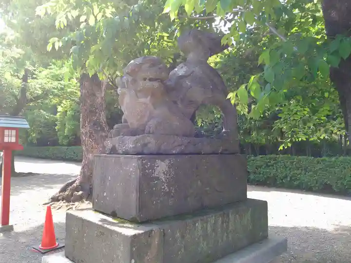 鷲宮神社の狛犬