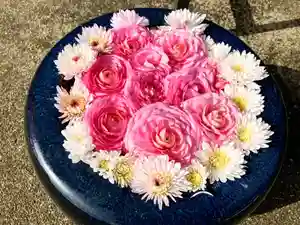 真言宗 善通寺派 薬王寺の手水舎(2022年11月24日(木) 22時08分53秒投稿)