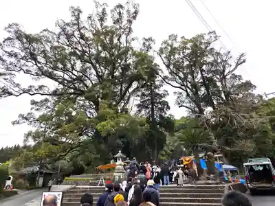 蒲生八幡神社(鹿児島県)