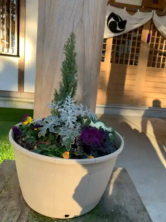 岩戸別神社の自然