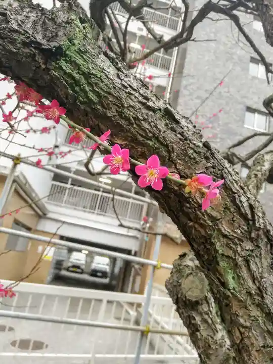 平河天満宮の自然