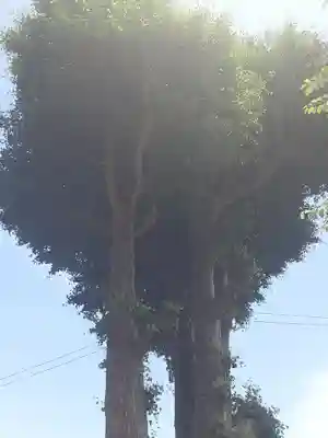 御霊神社(神奈川県)