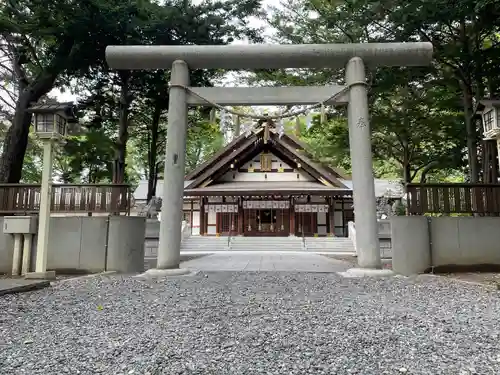 新琴似神社の鳥居