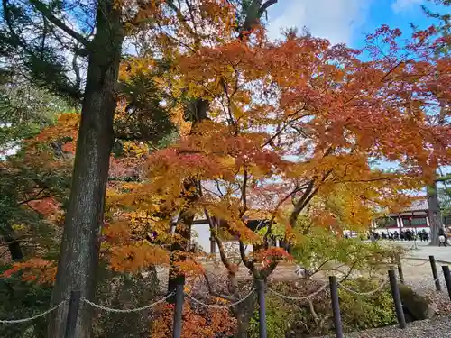 東大寺(奈良県)
