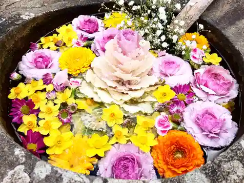 真言宗　善通寺派　薬王寺(香川県)