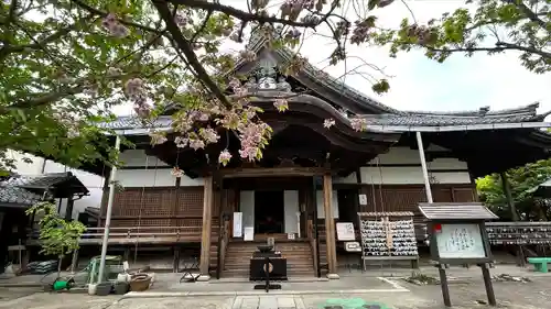 村雲御所瑞龍寺門跡の本殿・本堂