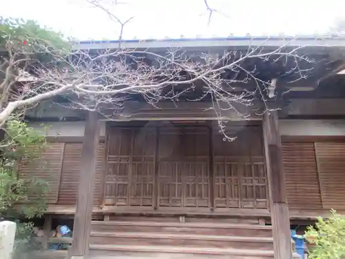 安養寺(京都府)