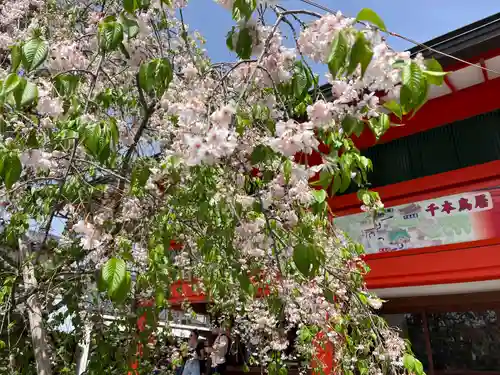 伏見稲荷大社(京都府)