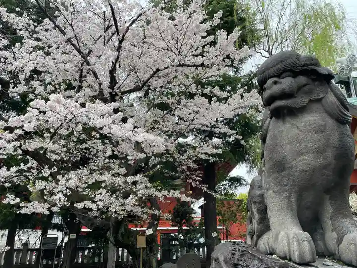 浅草神社(東京都)