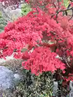 慈恩寺(岩手県)