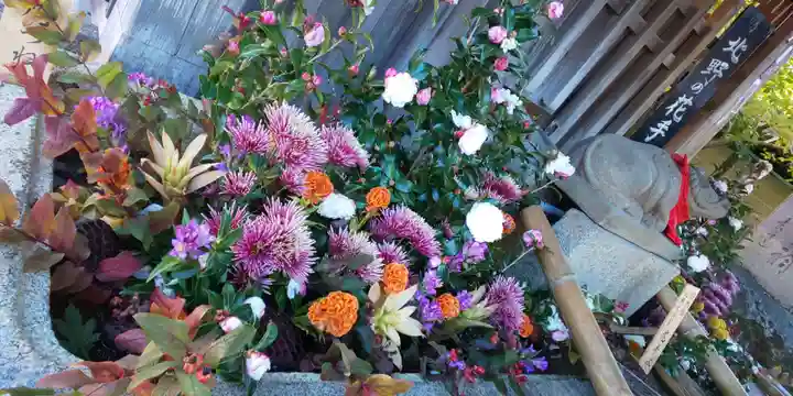 北野天満宮の手水舎