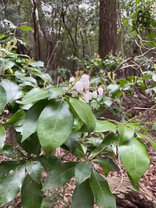尾張冨士大宮浅間神社(愛知県)